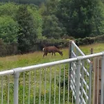 Stapehead Farm