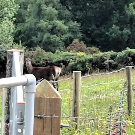 Stapehead Farm * Newton-on-Rawcliffe